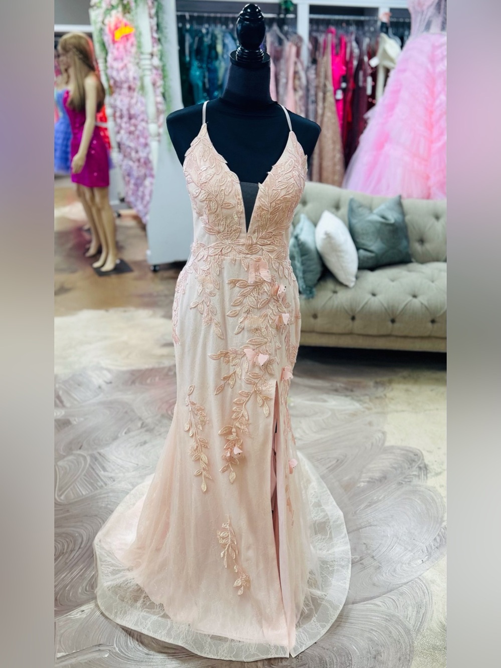 Blush Pink Embroidered V-Neck Evening Gown